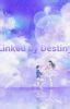 linked by destiny